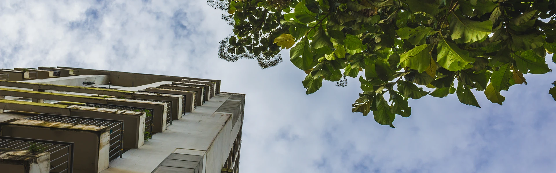 a582e86dce378d6bcb96272aa96b80a53fe3c60d